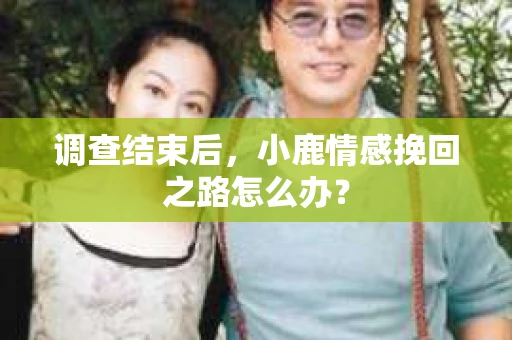 调查结束后，小鹿情感挽回之路怎么办？