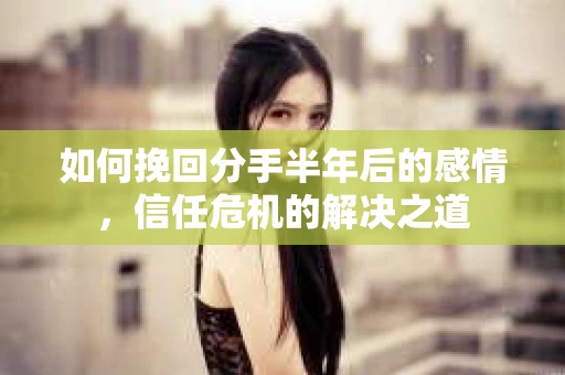 如何挽回分手半年后的感情，信任危机的解决之道