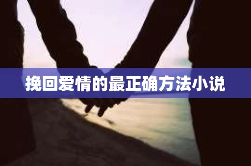 挽回爱情的最正确方法小说