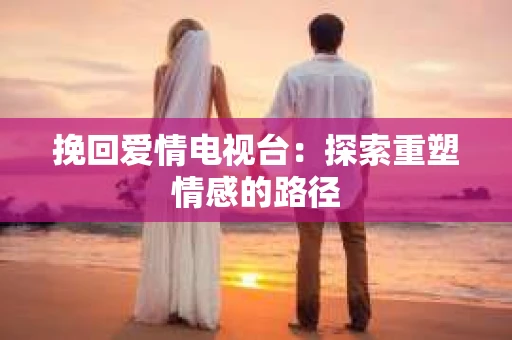 挽回爱情电视台：探索重塑情感的路径