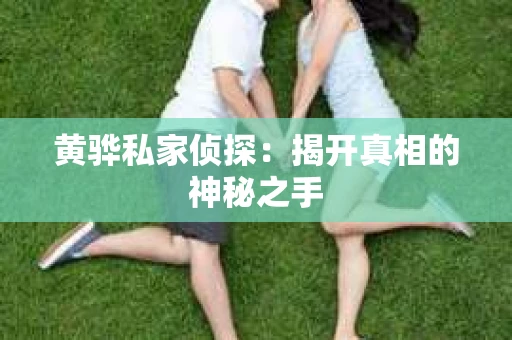 黄骅私家侦探：揭开真相的神秘之手