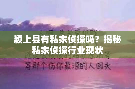 颖上县有私家侦探吗？揭秘私家侦探行业现状