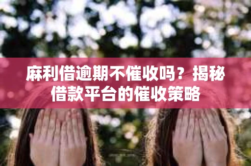 麻利借逾期不催收吗？揭秘借款平台的催收策略