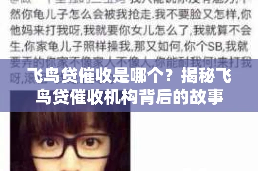 飞鸟贷催收是哪个？揭秘飞鸟贷催收机构背后的故事