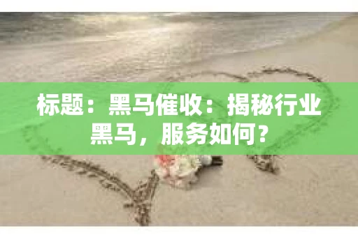 标题：黑马催收：揭秘行业黑马，服务如何？