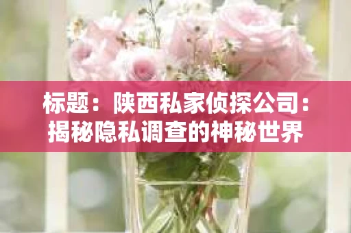 标题：陕西私家侦探公司：揭秘隐私调查的神秘世界