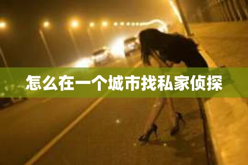 怎么在一个城市找私家侦探