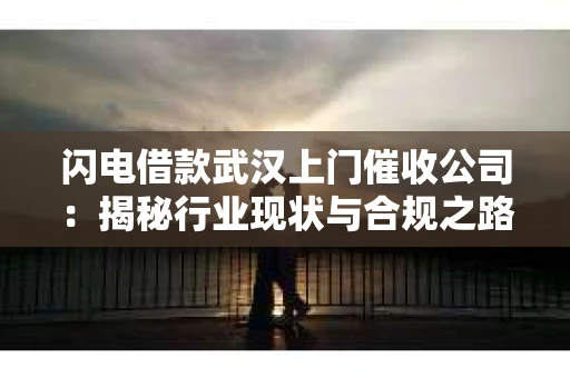 闪电借款武汉上门催收公司：揭秘行业现状与合规之路