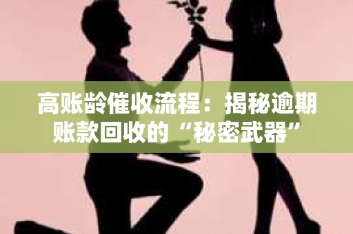 高账龄催收流程：揭秘逾期账款回收的“秘密武器”