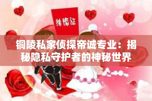 铜陵私家侦探帝诚专业：揭秘隐私守护者的神秘世界