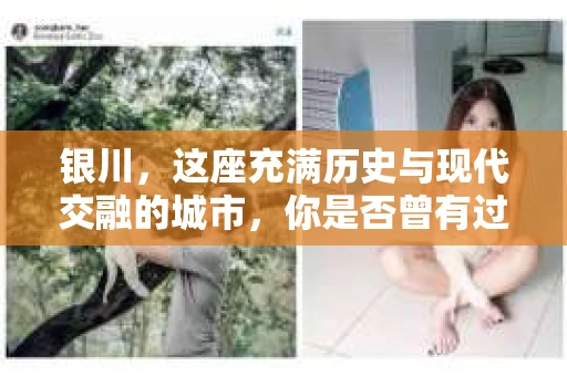银川，这座充满历史与现代交融的城市，你是否曾有过这样的疑问：银川有私家侦探公司吗？今天，就让我带你一起揭开这个谜团。