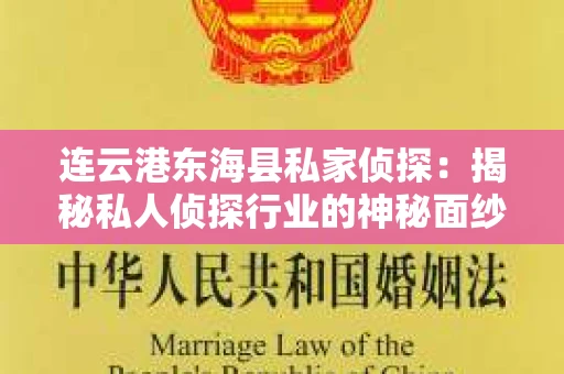连云港东海县私家侦探：揭秘私人侦探行业的神秘面纱