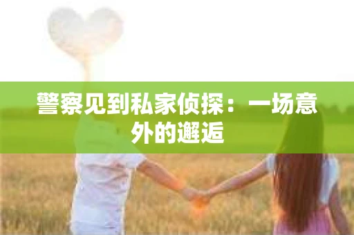 警察见到私家侦探：一场意外的邂逅