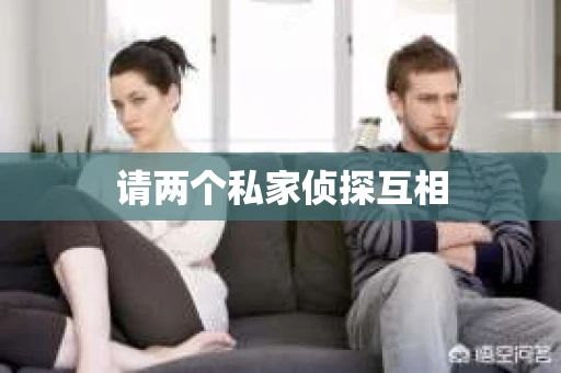 请两个私家侦探互相