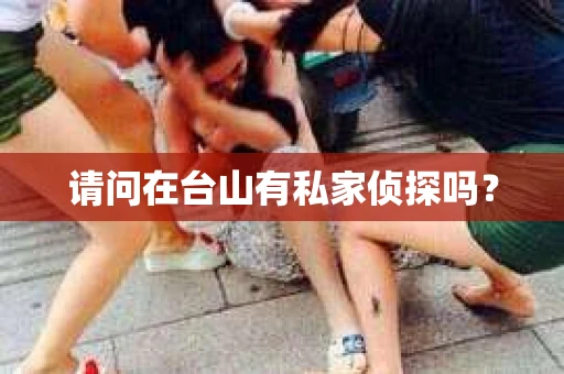 请问在台山有私家侦探吗？