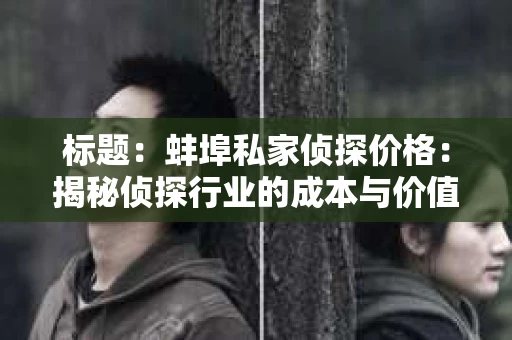 标题：蚌埠私家侦探价格：揭秘侦探行业的成本与价值
