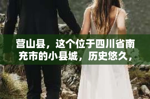 营山县，这个位于四川省南充市的小县城，历史悠久，风景秀丽。但在这个宁静的小县城里，你是否会好奇，有没有私家侦探的存在呢？今天，我就来和大家聊聊这个话题。