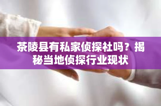 茶陵县有私家侦探社吗？揭秘当地侦探行业现状