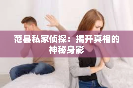 范县私家侦探：揭开真相的神秘身影