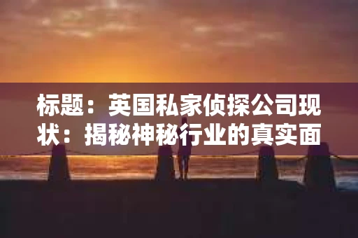 标题：英国私家侦探公司现状：揭秘神秘行业的真实面貌