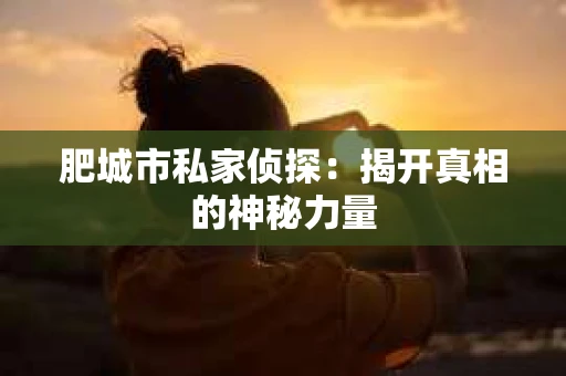 肥城市私家侦探：揭开真相的神秘力量