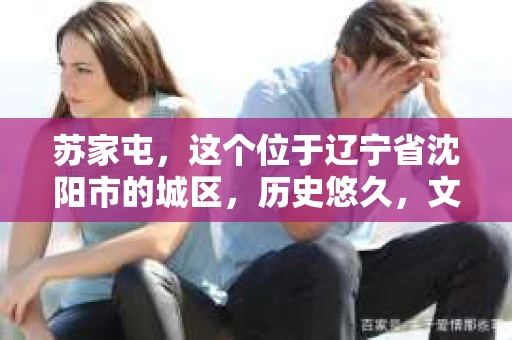 苏家屯，这个位于辽宁省沈阳市的城区，历史悠久，文化底蕴深厚。近年来，随着社会的发展，人们对于私家侦探的需求也逐渐增加。那么，苏家屯有私家侦探吗？今天，我们就来聊聊这个话题。