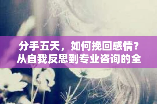 分手五天，如何挽回感情？从自我反思到专业咨询的全面解决方案