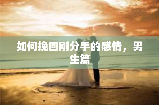 如何挽回刚分手的感情,男生篇 如何挽回刚分手的感情,男生篇