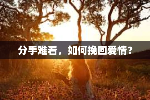 分手难看，如何挽回爱情？