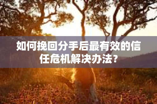 如何挽回分手后最有效的信任危机解决办法？